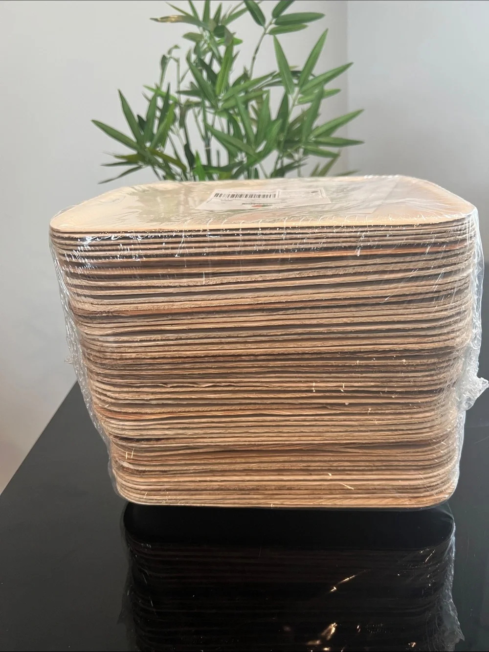Palm Leaf Plates 50 Count 10x10 Compostable Bridal Shower Party Eco